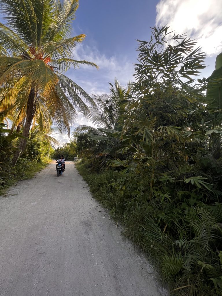 Unpaved road to the natural reserve of "Dhadimagi Kilhi"