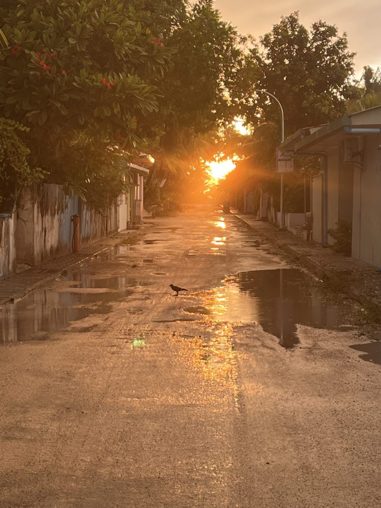 Sunsetting on the west side of island.