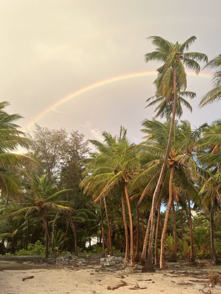 Double rainbow over Coconut palms.