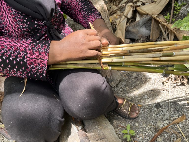 "Dhora-ona" a very light type of Bamboo grown wildly.